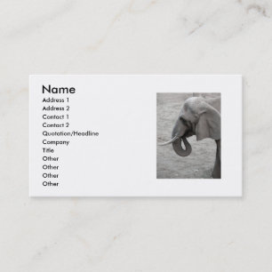 Elephant Business Card Visitenkarte