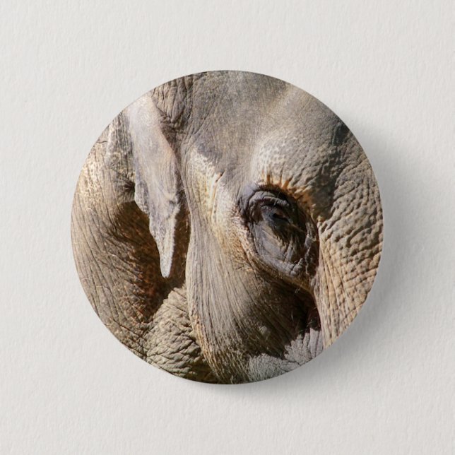 ELEPHANT BUTTON (Vorderseite)