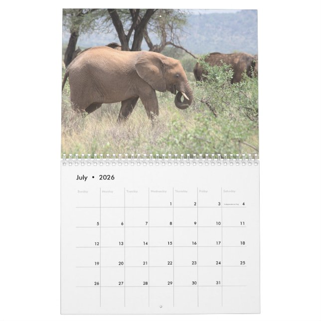 Elephant Calendar Kalender (Jul 2026)