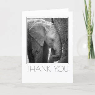 Elephant Calf Bleibe Nah Dankeskarte