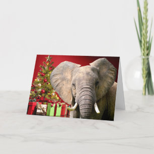 Elephant Christmas Greetings Karte