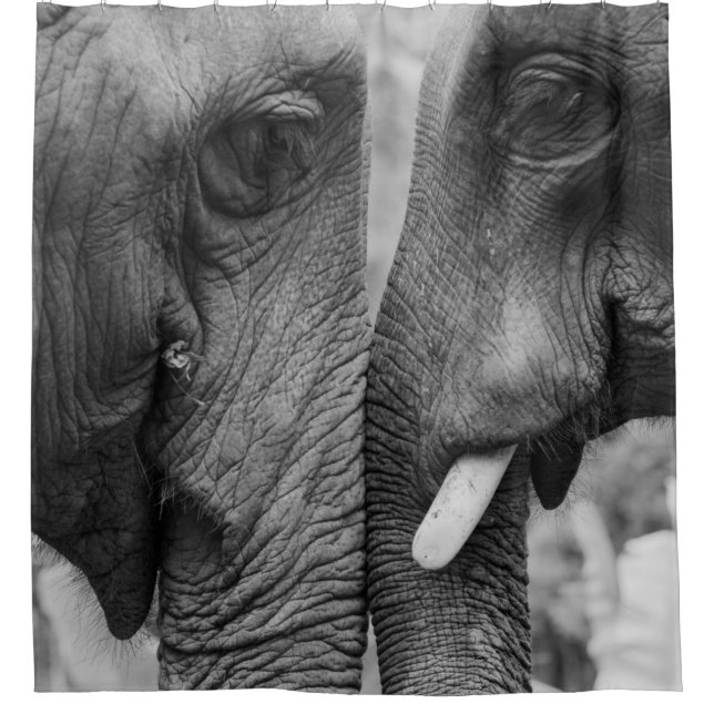 ELEPHANT COUPLE DUSCHVORHANG (Vorderseite)