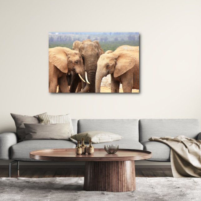 Elephant cuddle Leinwand Gerahmt (Von Creator hochgeladen)