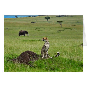 Éléphant de guépard