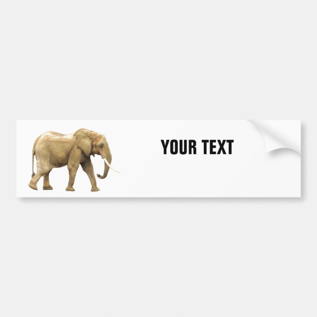 Elephant deinen Text "Folio Condensec" auf Weiß Autoaufkleber (Vorne)