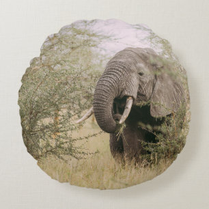 ELEPHANT, DER VON EINEM BAUM ESSEN WIRD RUNDES KISSEN