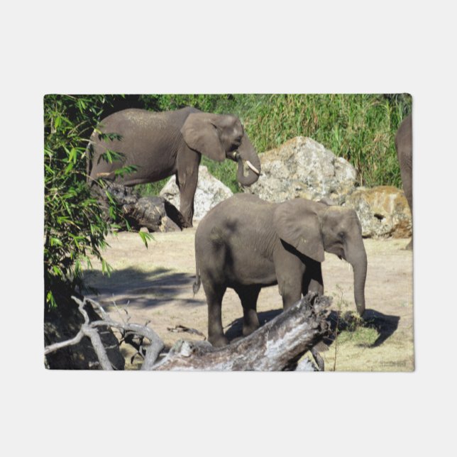 Elephant - Doormat Fußmatte (Vorderseite)