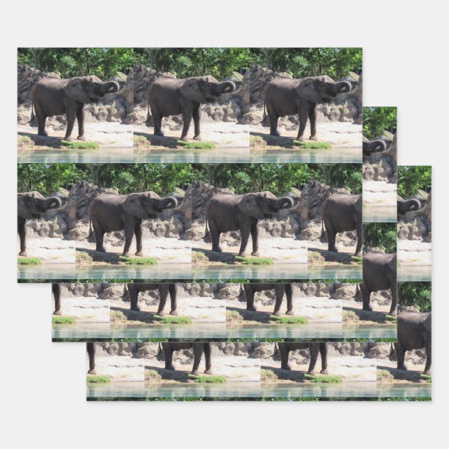 Eléphant - Enveloppement de feuilles de papier (Lot)