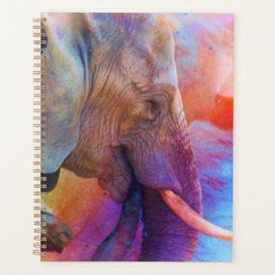 ELEPHANT ERINNERT SICH AN SACRED-GEWÄSSER PLANER