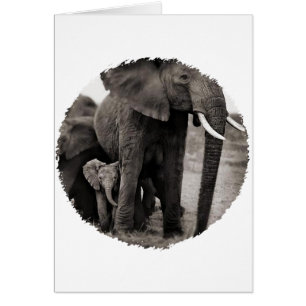 Eléphant et bébé Eléphant