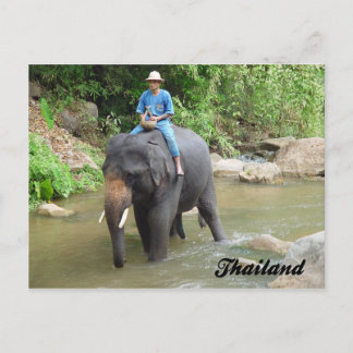 Éléphant et Mahout carte postale de Chiang Mai,