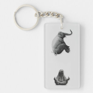 Éléphant et paresseux méditant en harmonie