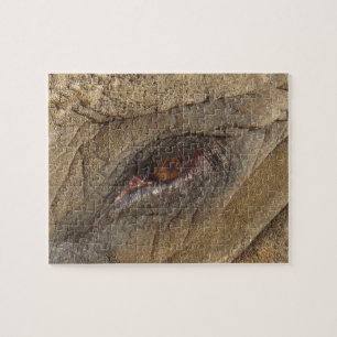 Elephant Eye