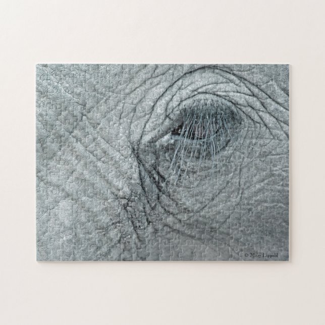 Elephant Eye (Horizontal)