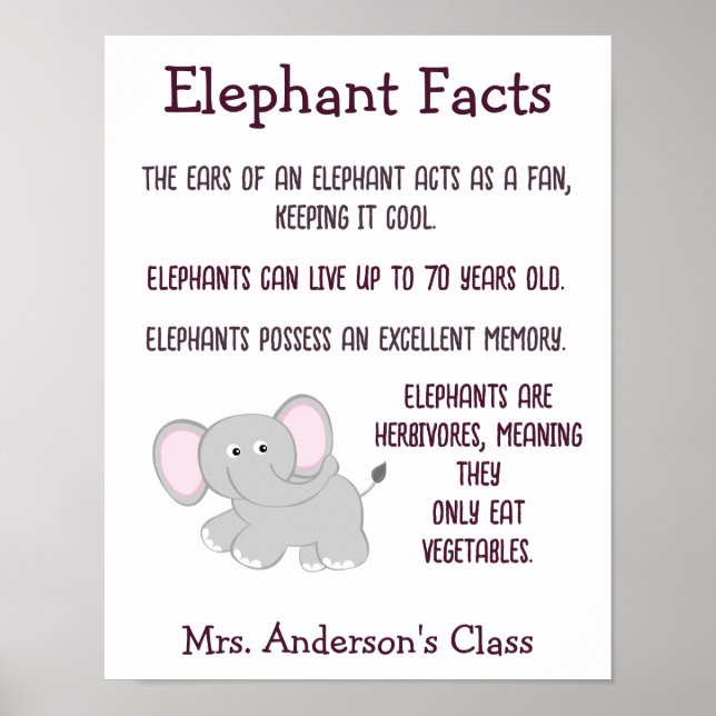 Elephant Facts-Klasse Poster (Vorne)