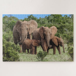 Elephant Family Jigsaw Puzzle
