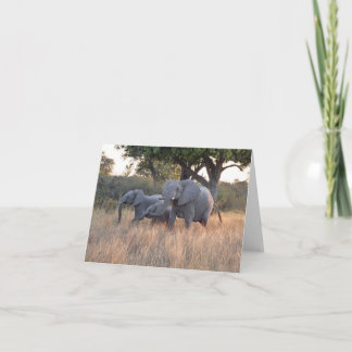 ELEPHANT FAMILY KARTE