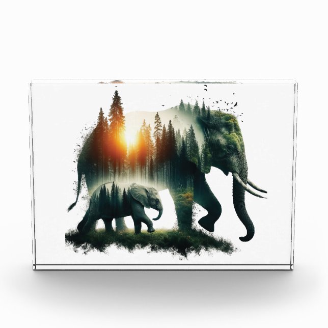 Elephant Forest  Fotoblock (Vorderseite)