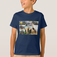 Elephant Foto