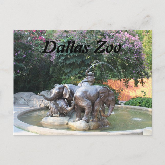 Elephant Fountain Postkarte (Vorderseite)