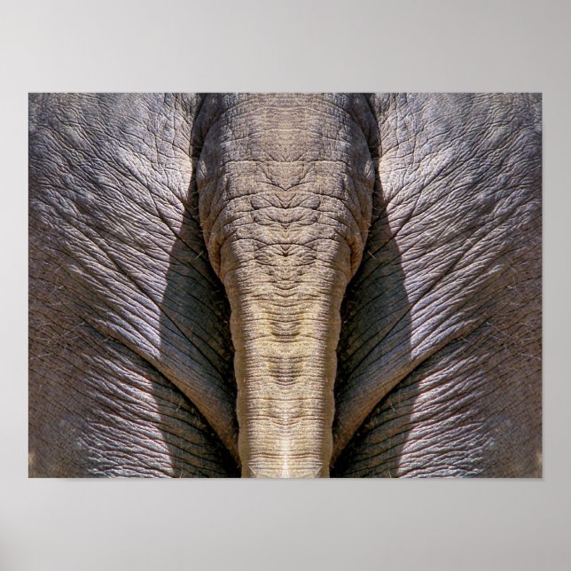 ELEPHANT FUN POSTER (Vorne)