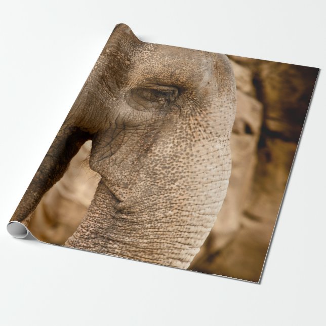 ELEPHANT GESCHENKPAPIER (Ungerollt)