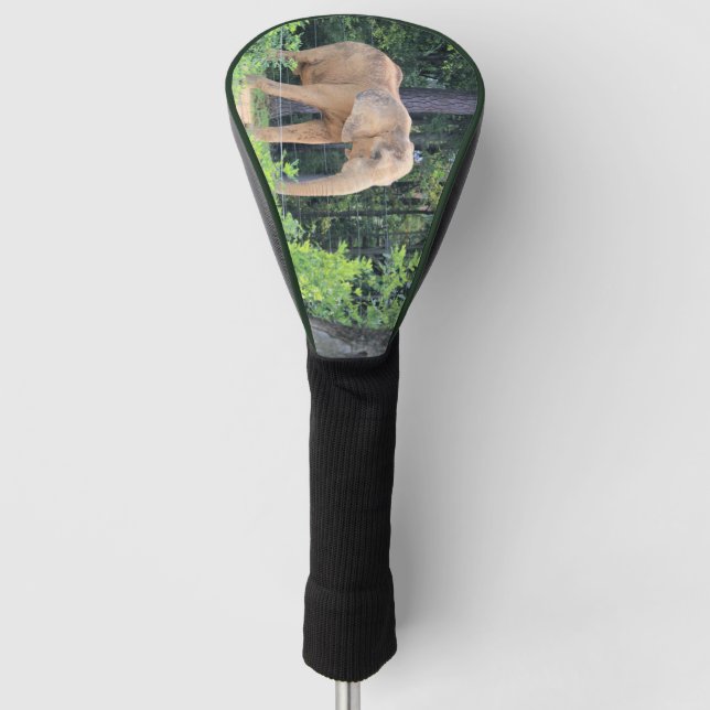 Elephant Golf Headcover (Vorderseite)