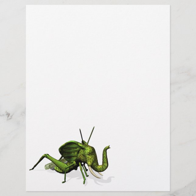 Elephant Grasshopper Crossbreed (Vorderseite)