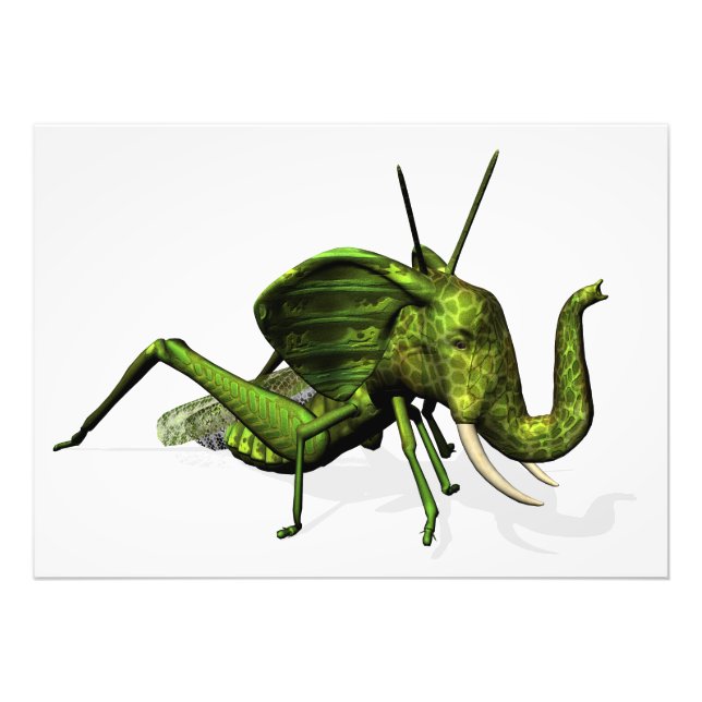 Elephant Grasshopper Crossbreed Fotodruck (Vorne)