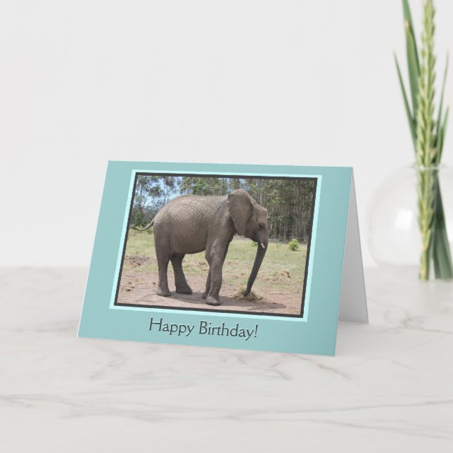 Elephant Happy Birthday Karte (Vorderseite)