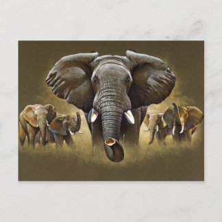 Elephant Herd Charging Postkarte