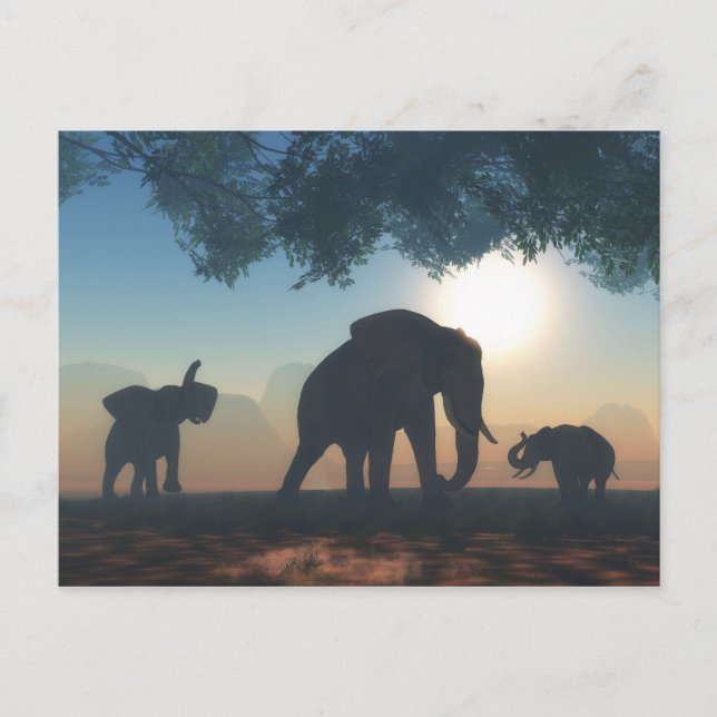 Elephant herd postkarte (Vorderseite)