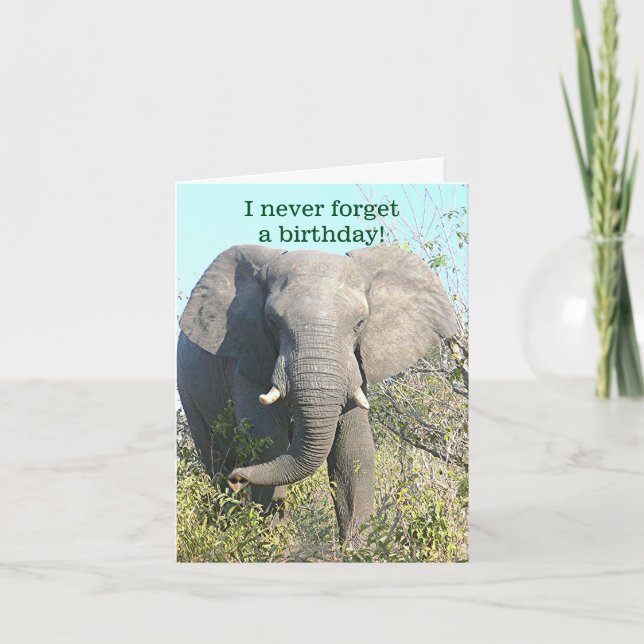 ELEPHANT/I VERGESSEN NIE EIN BIRTHDAY/EXCEPT IHR KARTE (Vorderseite)