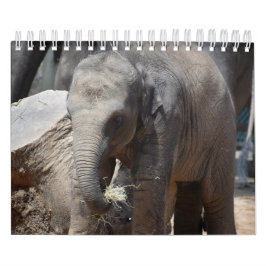 Elephant Kalender