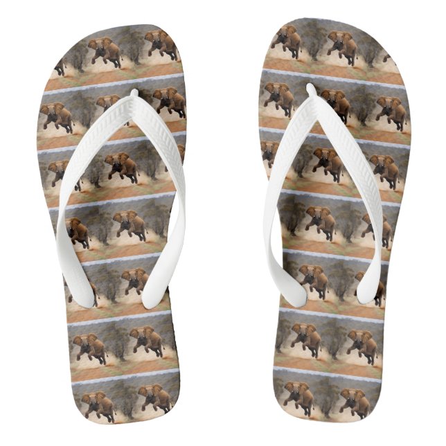Elephant Kangaroo Hop Flip Flops (Fußbett)