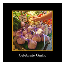 Elephant Knolic - Seattle Market