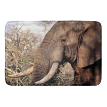 Elephant Lovers Art