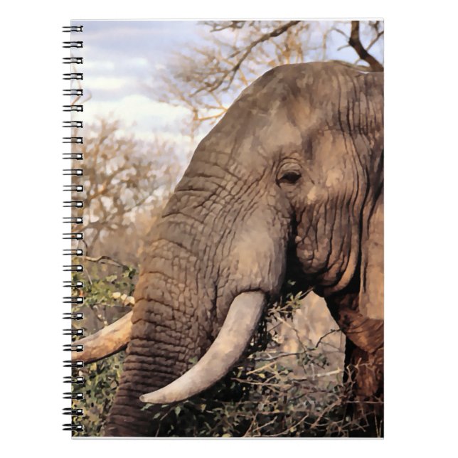 Elephant Lovers Wildlife Notizblock (Vorderseite)