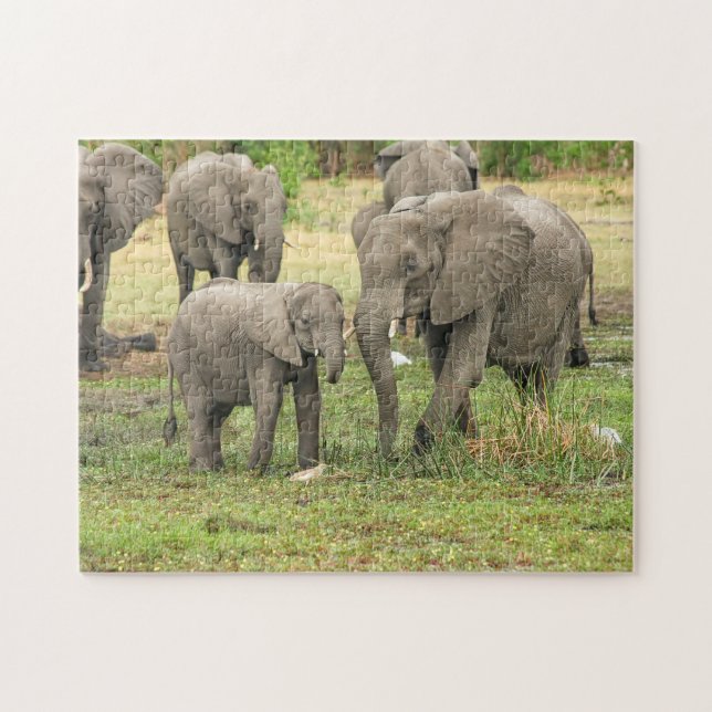 Eléphant Mère et Bébé Animal Puzzle Puzzle (Horizontal)