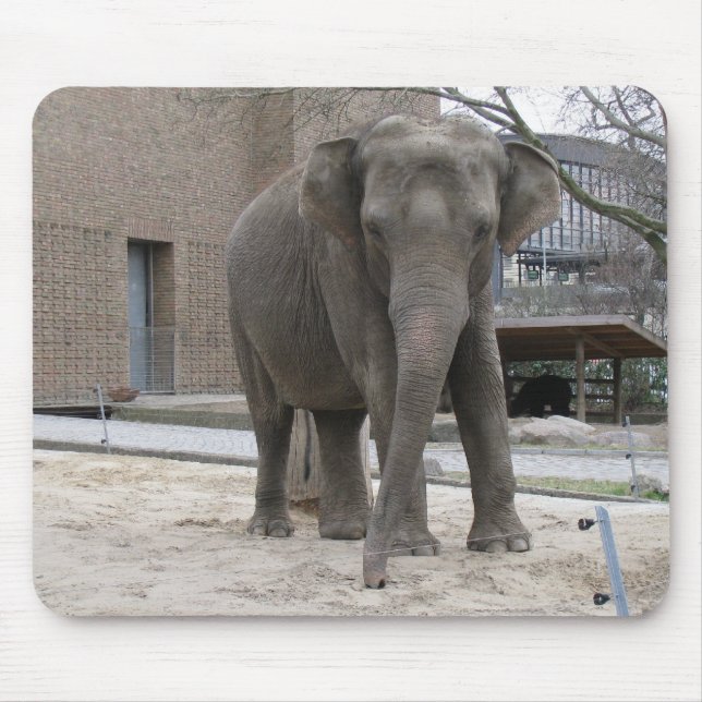 ELEPHANT mousepad (Vorne)