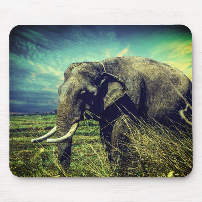 Elephant Mousepad (Vorne)