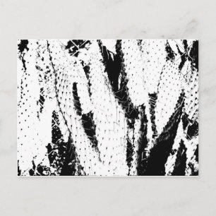 Elephant Ohrkaktus in Schwarz und Weiß Postkarte