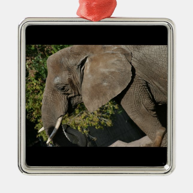 Elephant Ornament (Vorne)