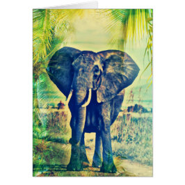 Elephant Palms
