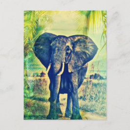 Elephant Palms Postkarte