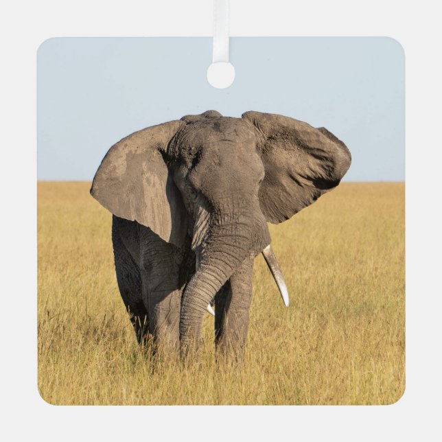 Elephant Personalize Name Foto Weihnachten Ornament Aus Metall (Vorderseite)