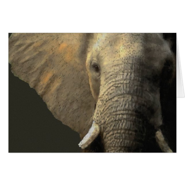 Elephant Portrait (Vorderseite (Horizontal))