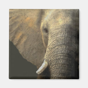 Elephant Portrait Magnet