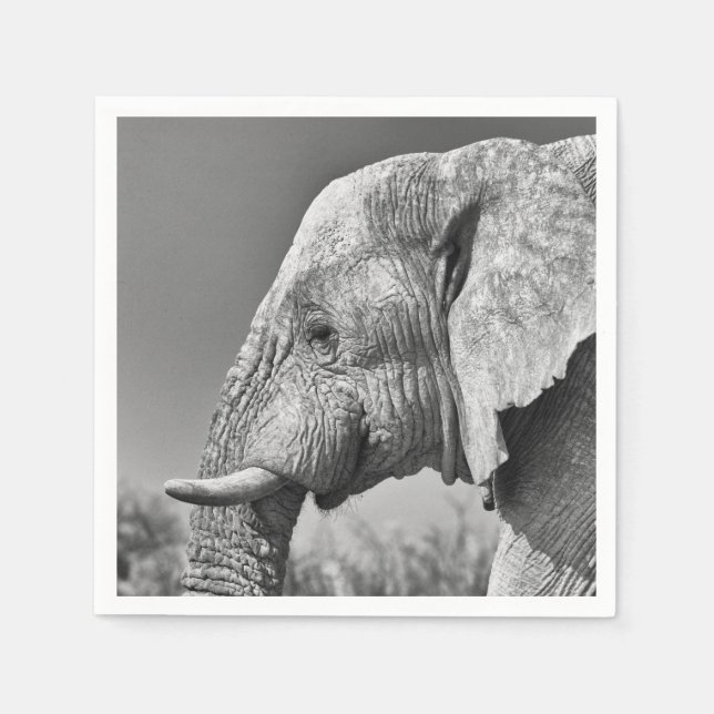 Elephant portrait serviette (Vorderseite)