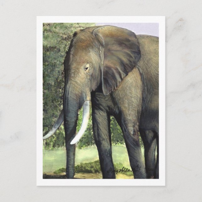 Elephant Postcard Postkarte (Vorderseite)